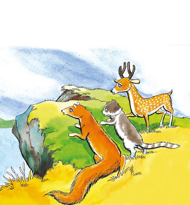 Picture for page 6