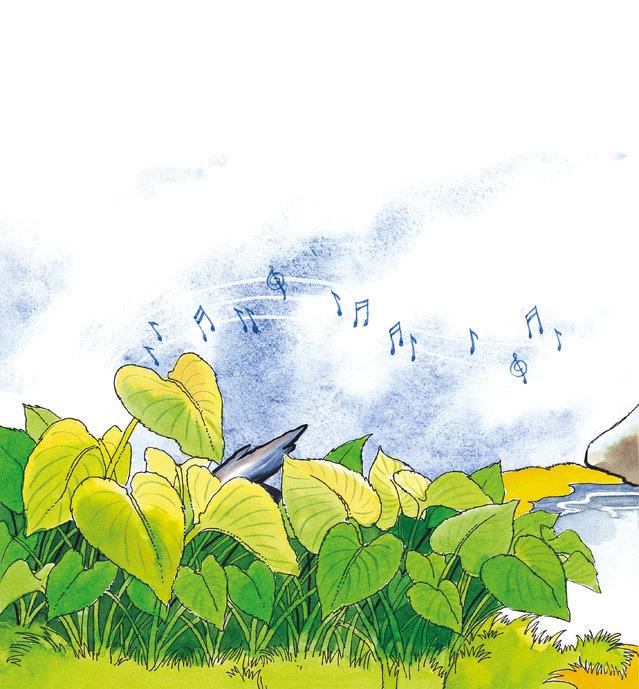 Picture for page 7