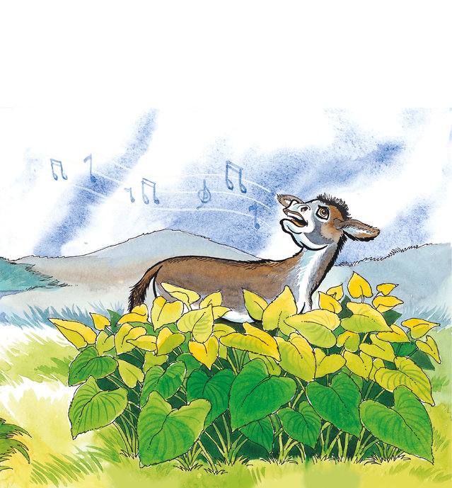 Picture for page 10