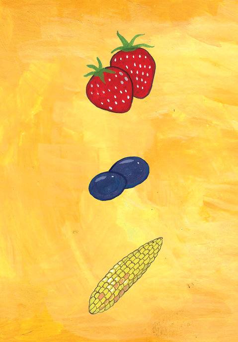 Picture for page 13