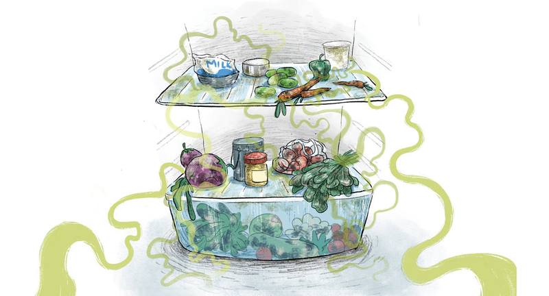 Picture for page 10