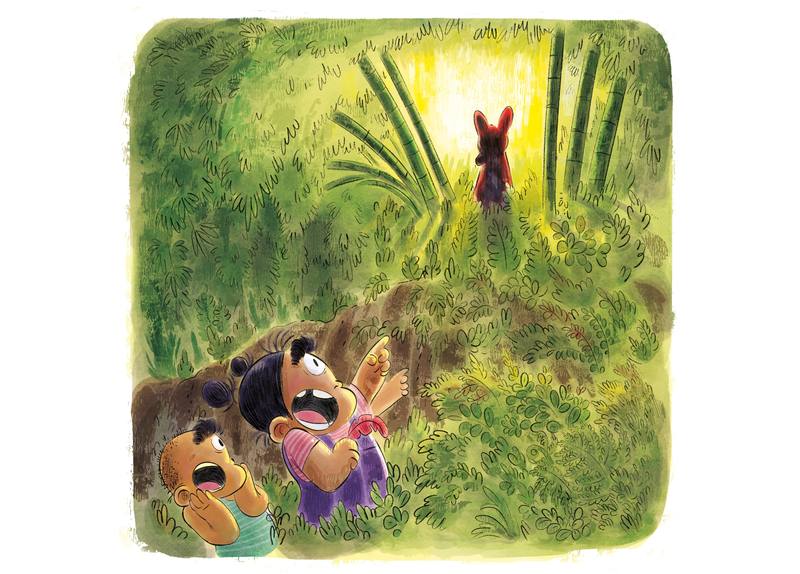 Picture for page 11