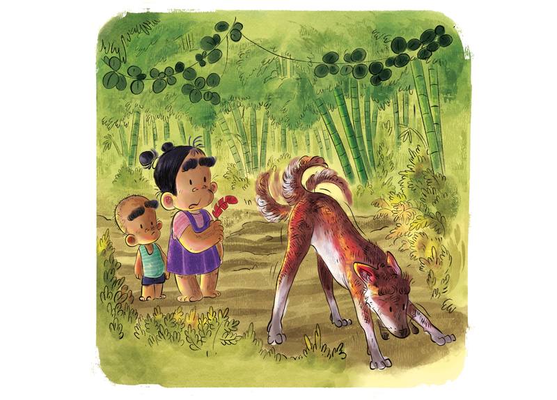 Picture for page 13