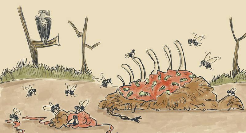 Picture for page 4