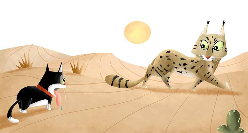 Picture for page 6