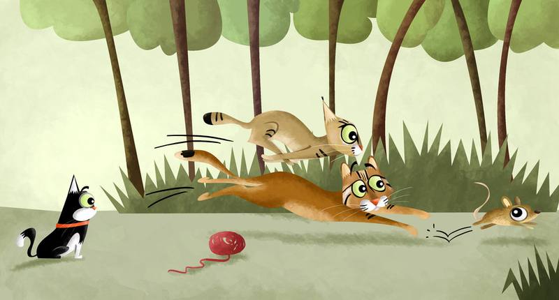 Picture for page 11