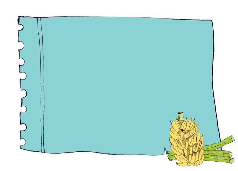 Picture for page 6
