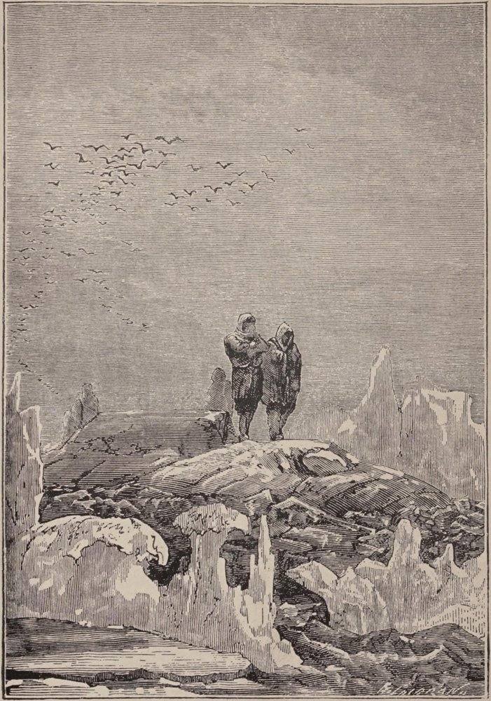 Illustration