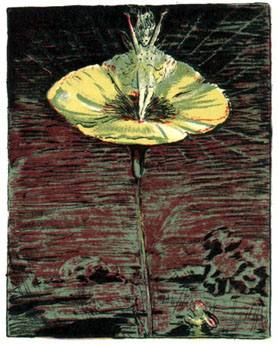 fairy